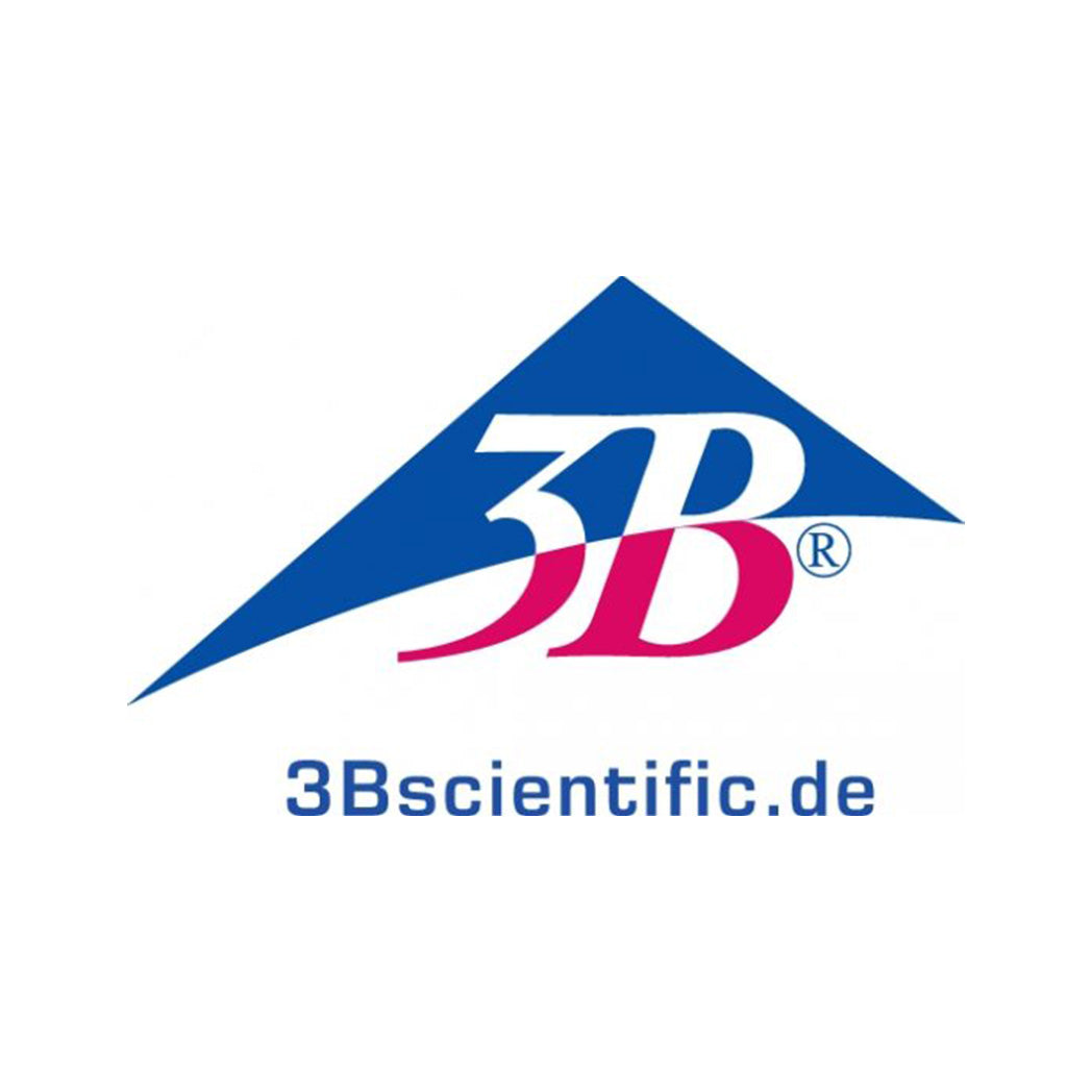 3B Scientific