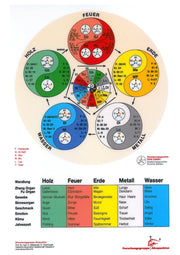 Lernkarte Akupunktur Energie Ordnerkarte