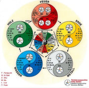 Lernkarte Akupunktur Energie Taschenkarte