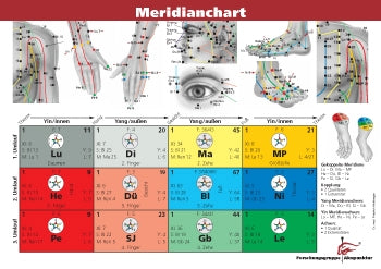 Lernkarte Akupunktur Meridianchart