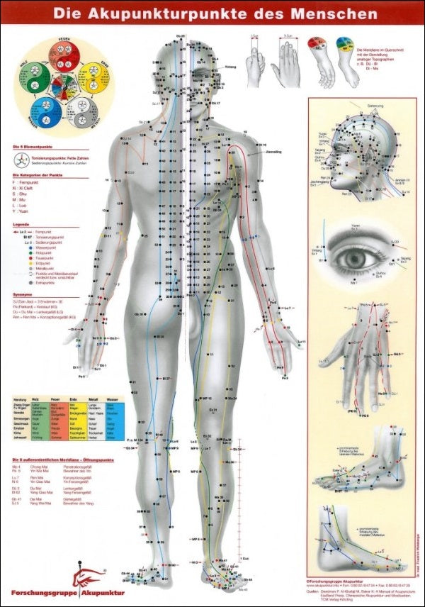 Die Akupunkturpunkte des Menschen Wandposter