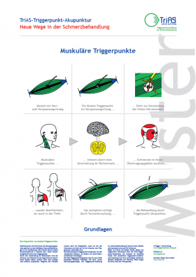 Poster Triggerpunkt-Akupunktur Grundlagen